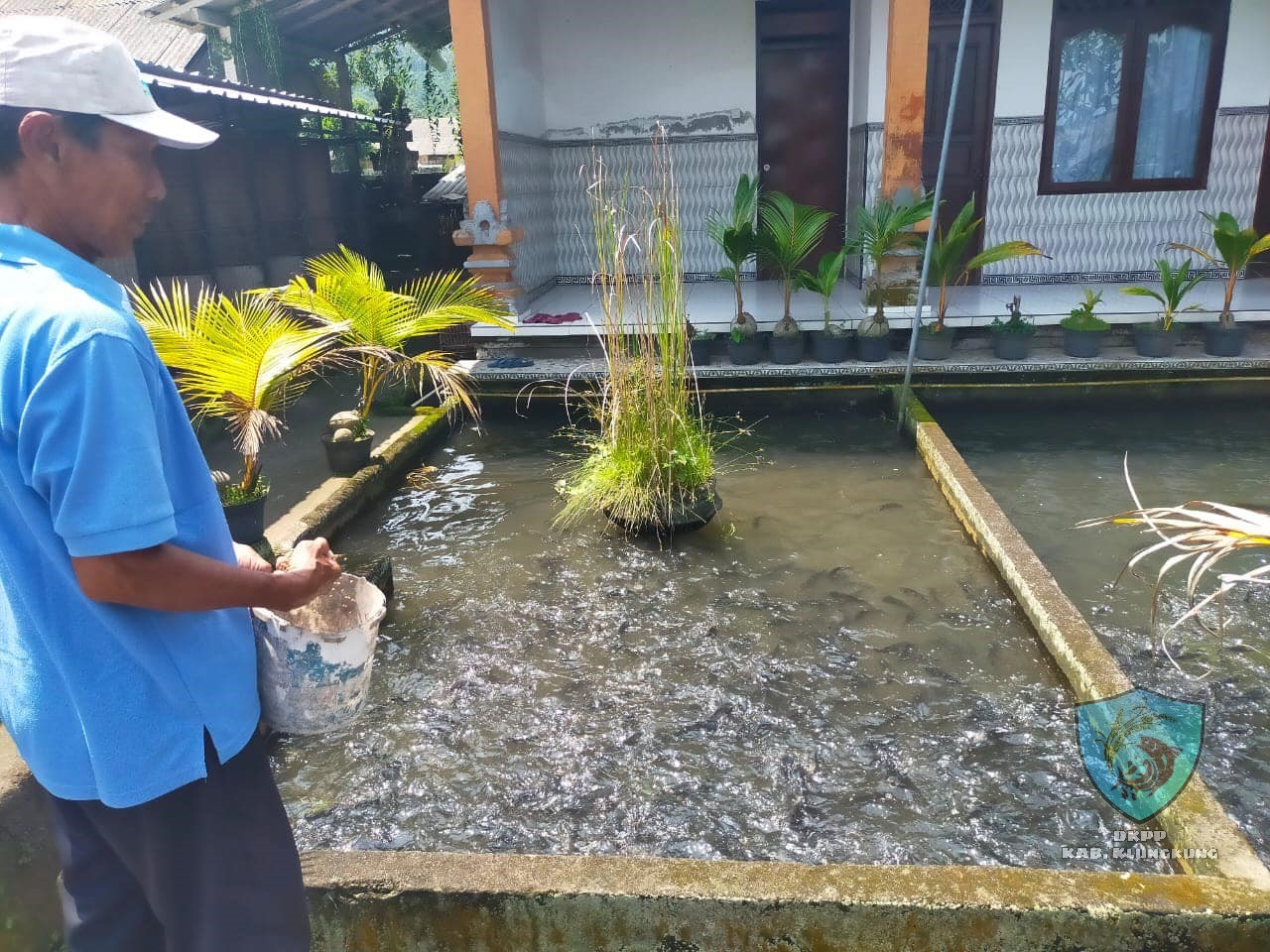 survey perikanan budidaya ikan