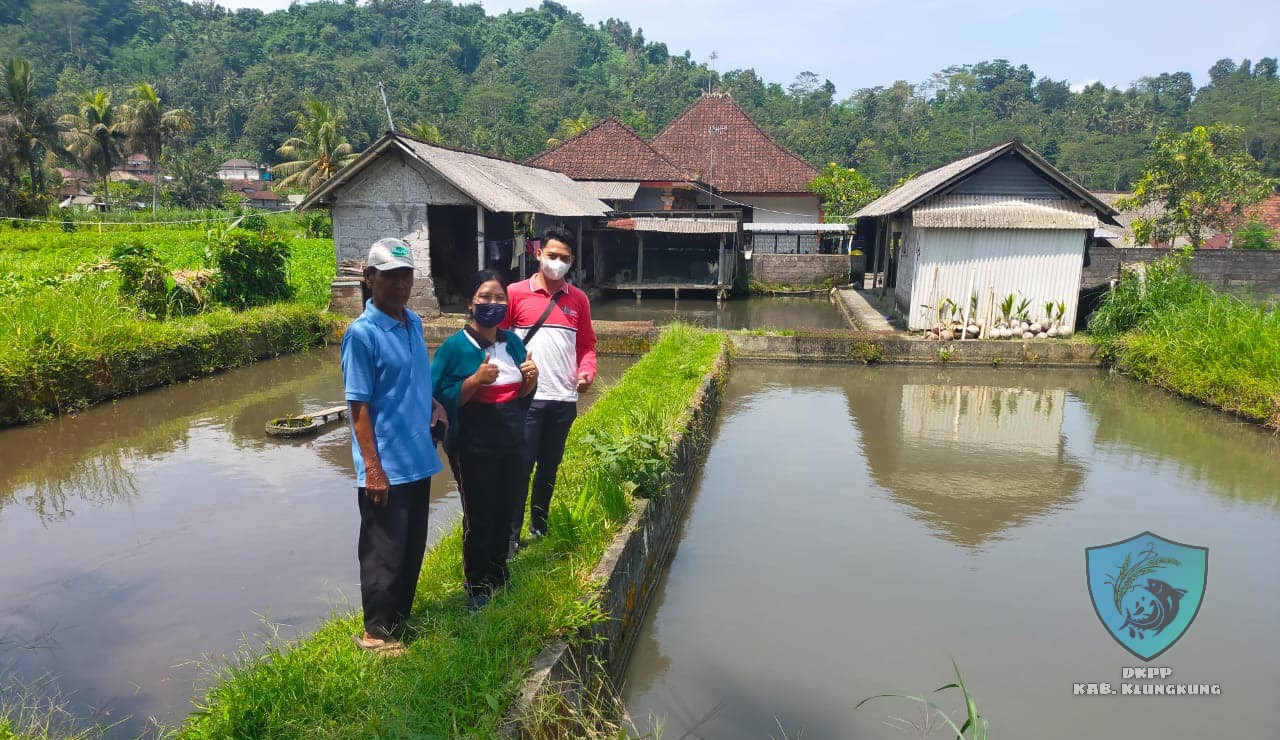 Survey Perikanan Budidaya Ikan