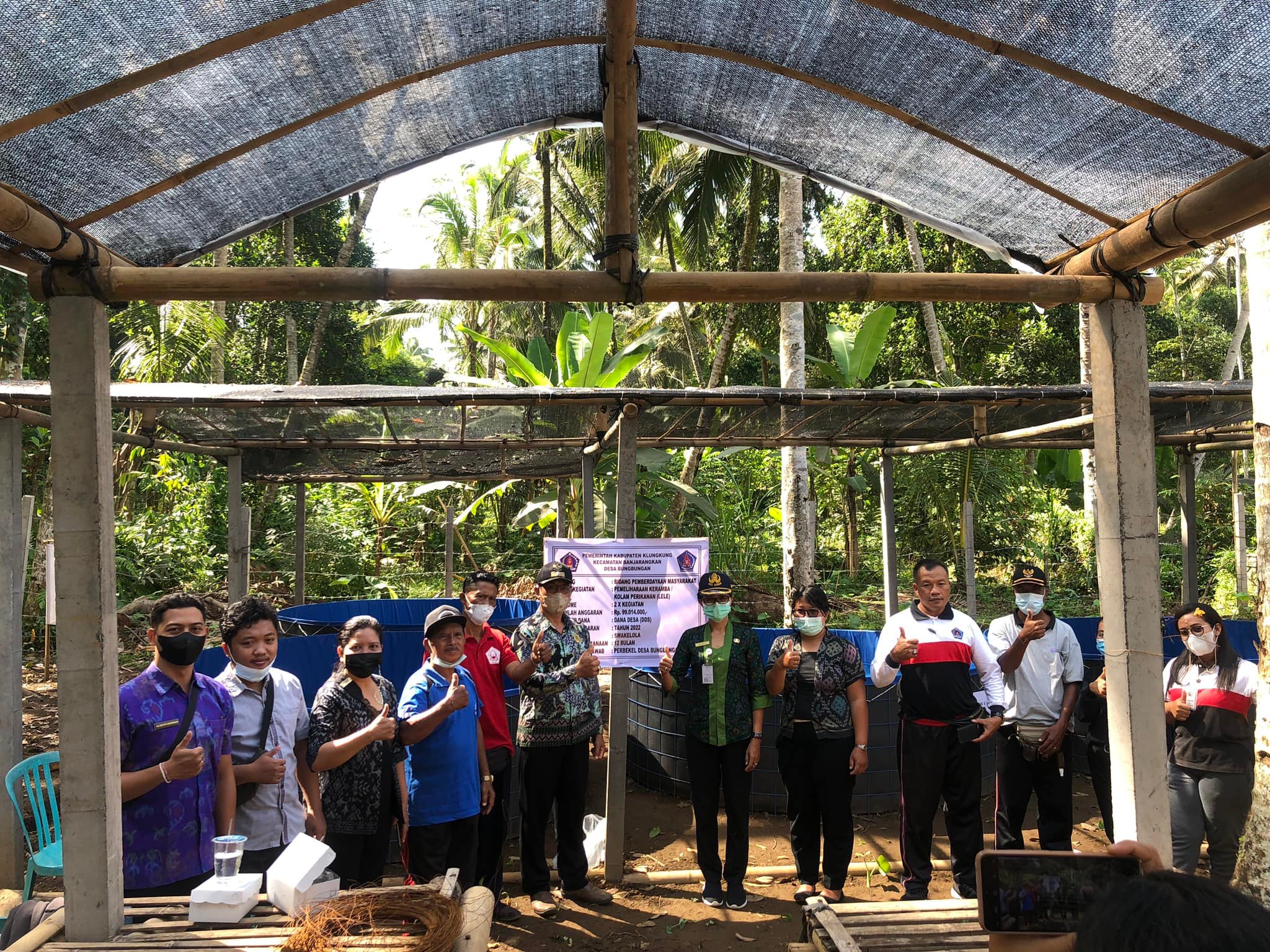 Penebaran Bibit Ikan Lele di Desa Bungbungan