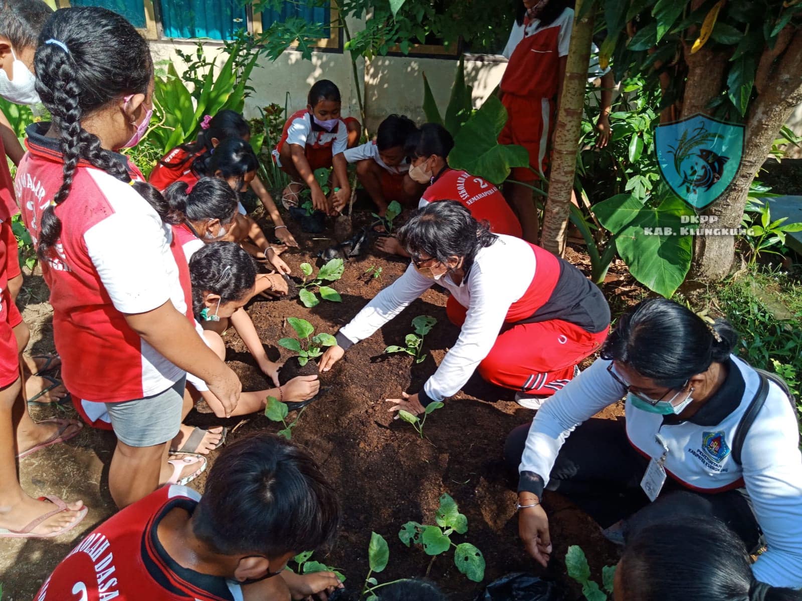 PETAPA CILIK di SDN 2 Semarapura Kangin